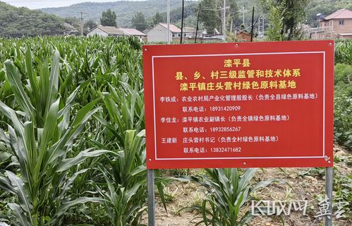 河北省獲批全國綠色食品原料標準化生產基地達到10個鳳凰網河北 鳳凰網