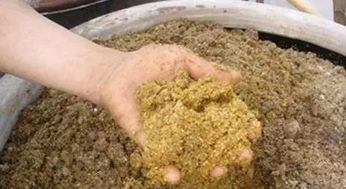 對蝦為什么要使用發酵飼料 教您發酵飼料的制作及配方