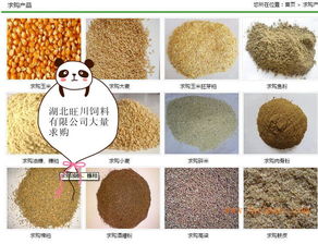 飼料 飼料求購 飼料采購供應(yīng)信息