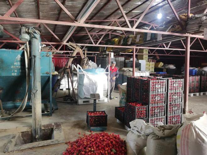 飼用豆粕用量占比如何再降1.5%?各地經(jīng)驗(yàn)匯總→