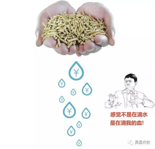 深扒 調制水分含量對飼料企業的影響竟然這么大