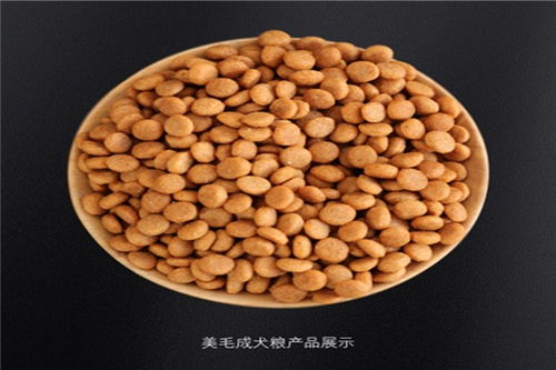 臺州雙螺桿狗糧膨化機與飼料原料銷售——專業為寵物食品產業賦能